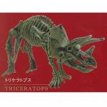 Gashapon Capsule - Dinosaur Skeleton Model - Triceratops